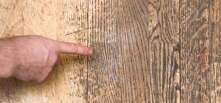 Wood Door Scratch Repair in The Acreage